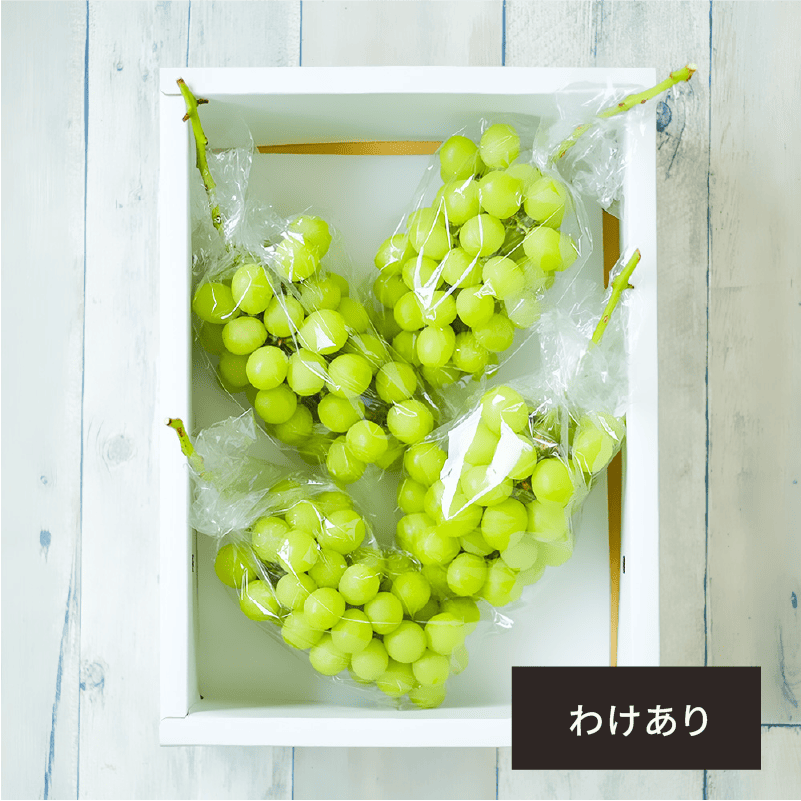 わけあり特価！シャインマスカット 1.5kg