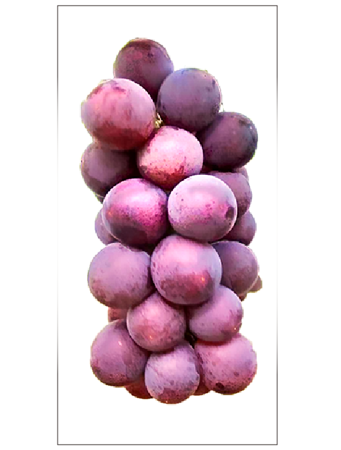巨峰 1kg