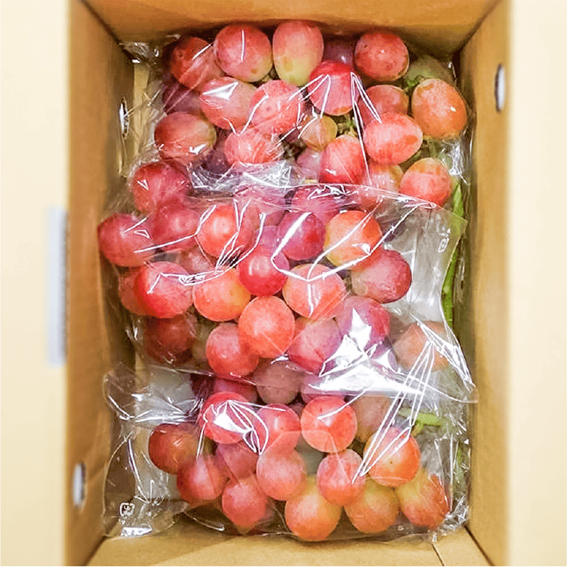 サンシャインレッド 2kg