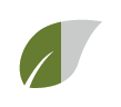 茶葉0.5