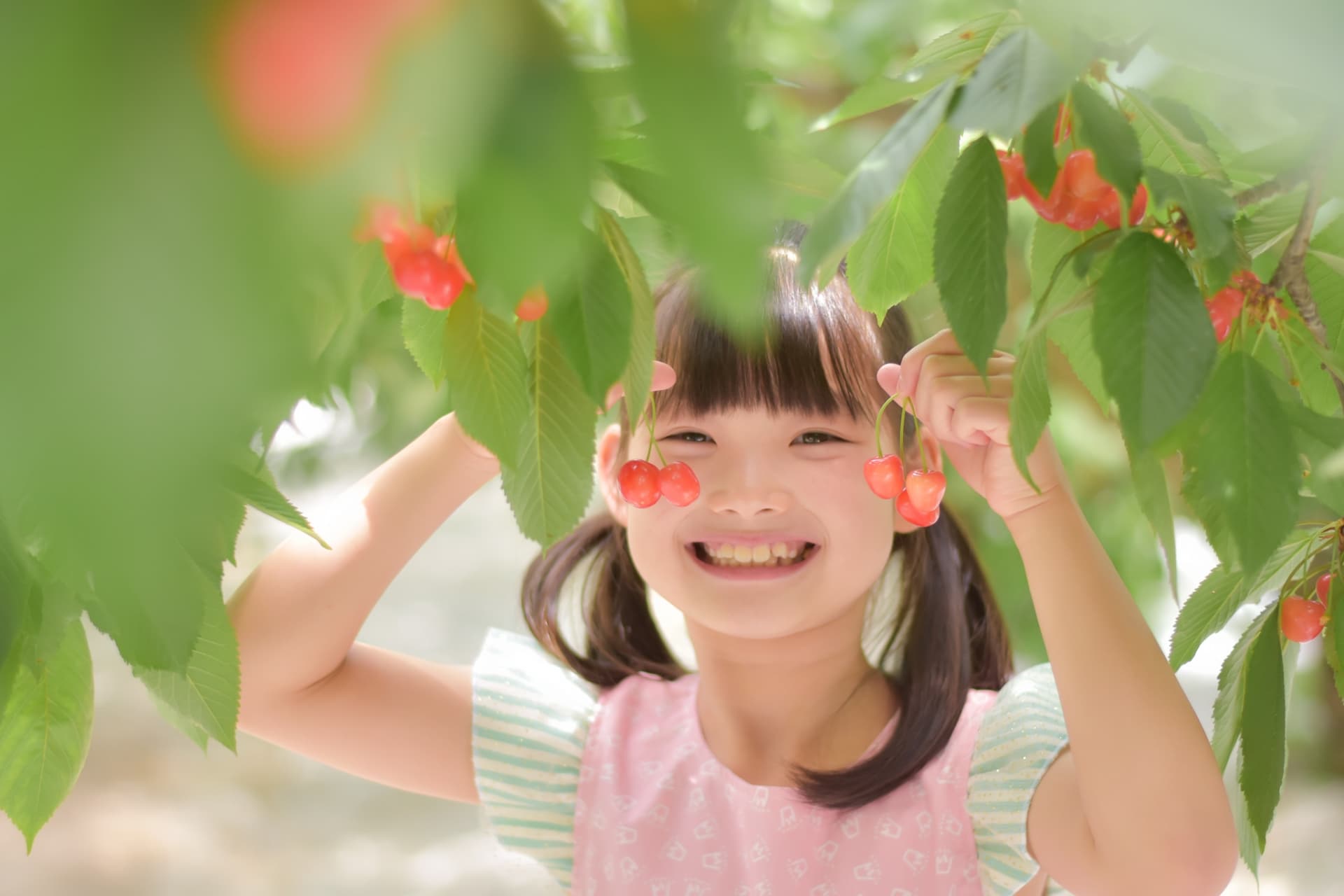 さくらんぼがり